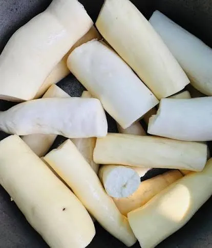Tubercule de manioc