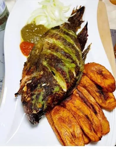 Tilapias
